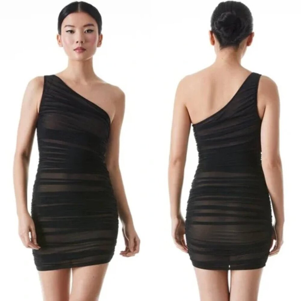 Cruz Ruched Mini Dress - Picture 2 of 2